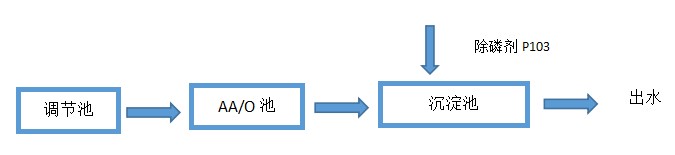 10.JPG